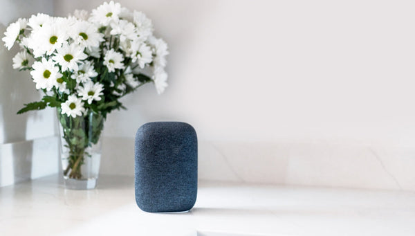 How Does Voice Controlled Home Automation Work?