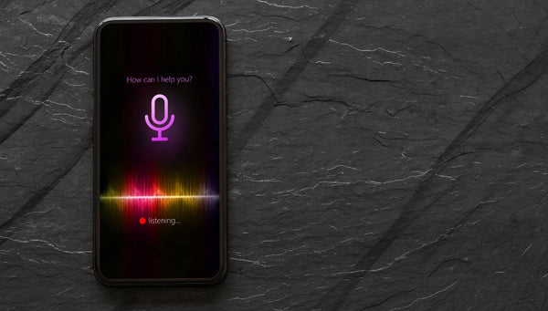 Pros and Cons: Voice Assistant Home Devices
