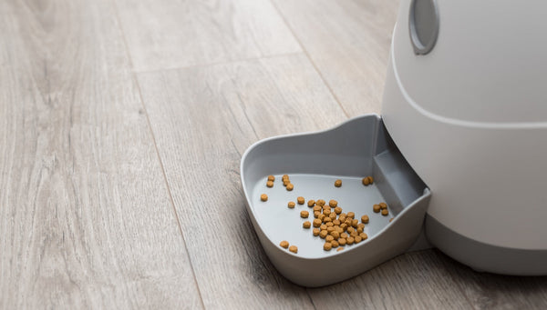 Exploring How Pet Friendly A Smart Home Automation System Can Be